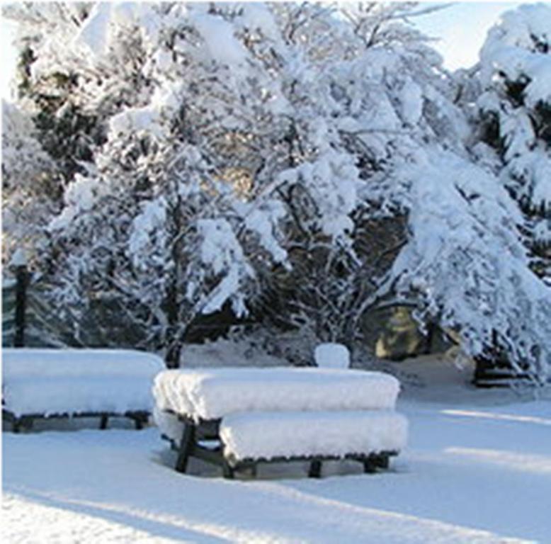 Jack In The Green Garden Rooms Hanmer Springs Esterno foto