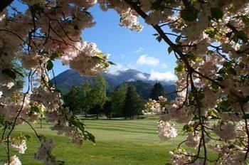 Jack In The Green Garden Rooms Hanmer Springs Esterno foto